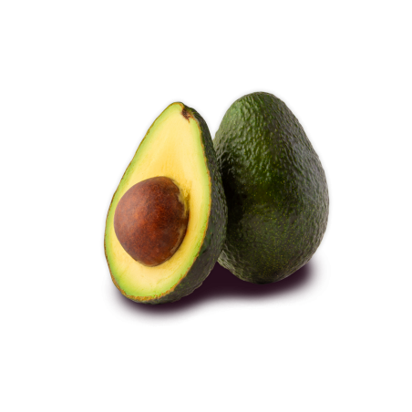 Persea americana-avocado Hass ctl 25